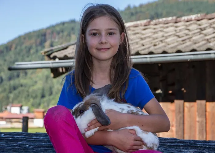 Фермерский дом Hoerlhof - Chiemgau Karte